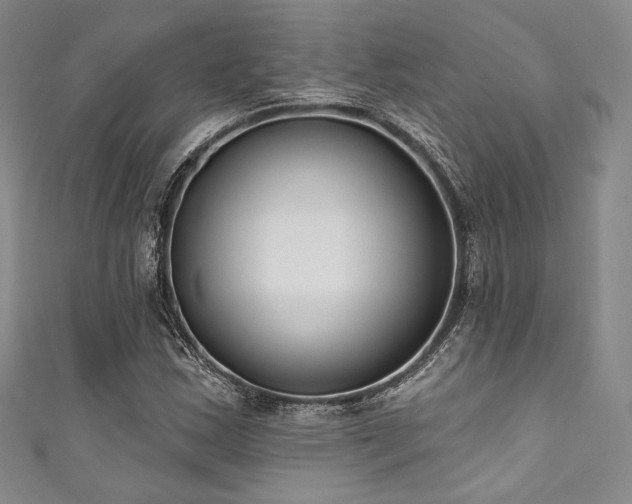 X0000111891163200907231550