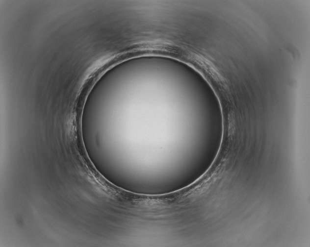 X0000111891164200907231550