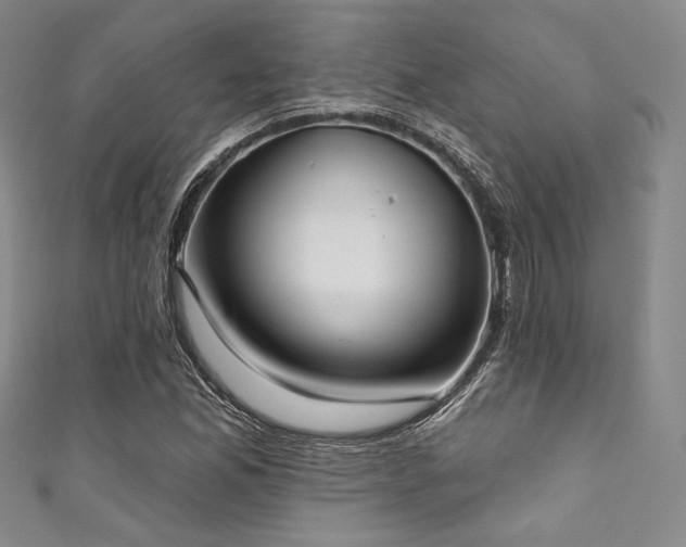 X0000111891165200907231550