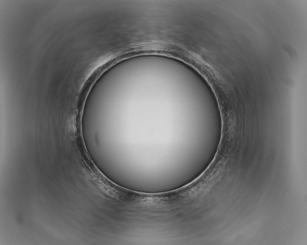 X0000111891166200907231550