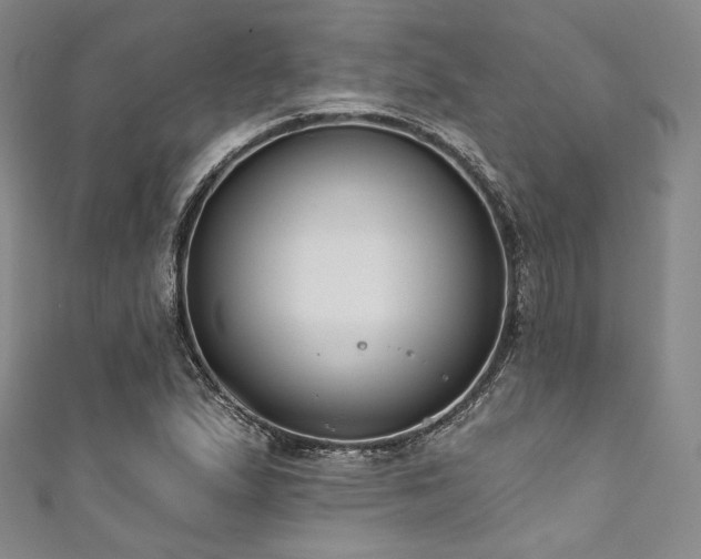 X0000111891167200907231550