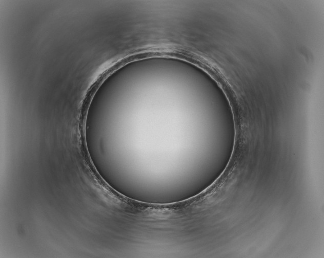 X0000111891168200907231550