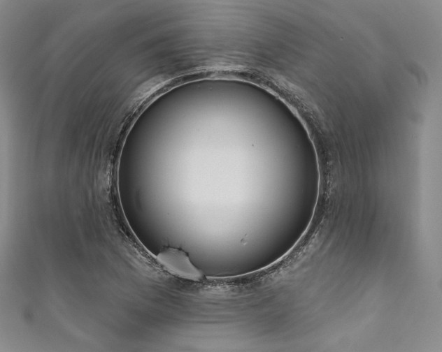X0000111891169200907231550