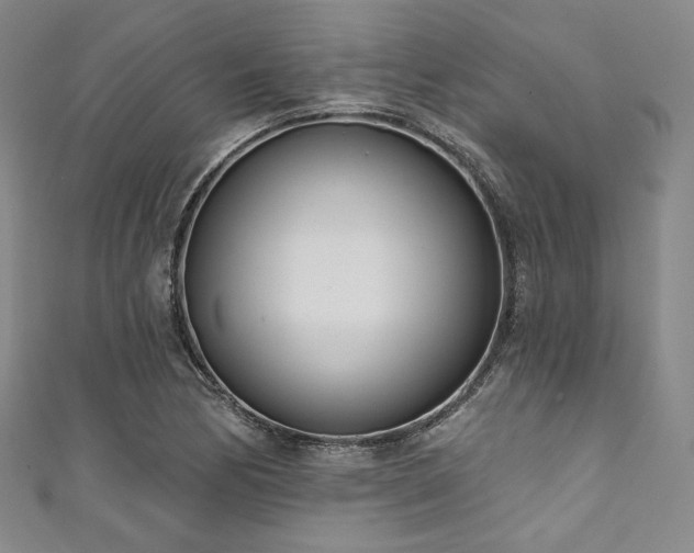 X0000111891170200907231550