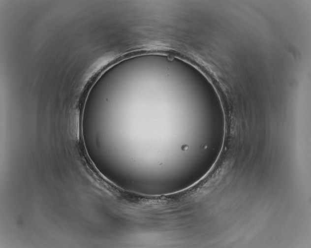 X0000111891171200907231550