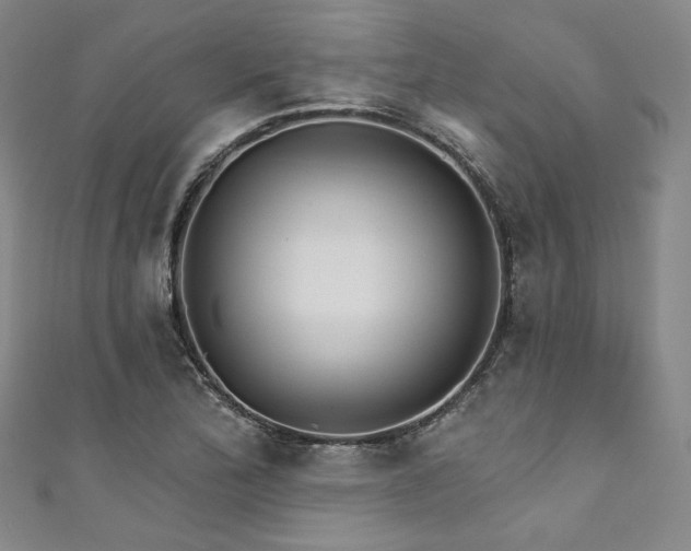 X0000111891172200907231550