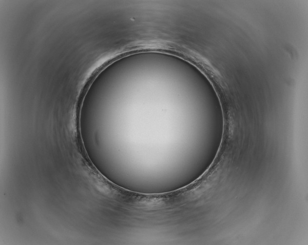X0000111891174200907231550