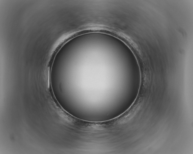 X0000111891175200907231550