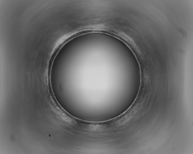 X0000111891176200907231550