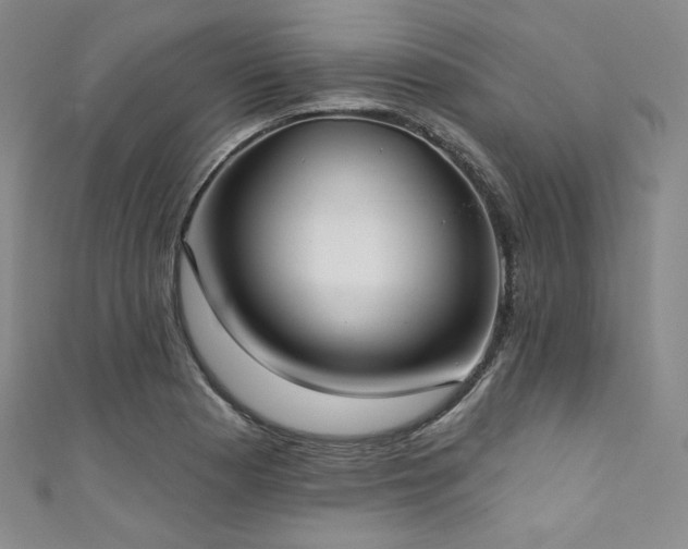 X0000111891177200907231550
