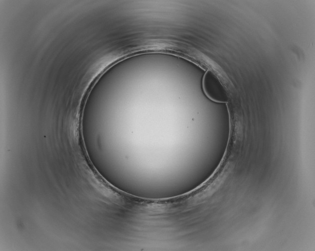 X0000111891178200907231550