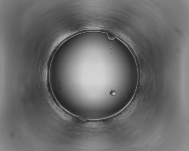 X0000111891179200907231550