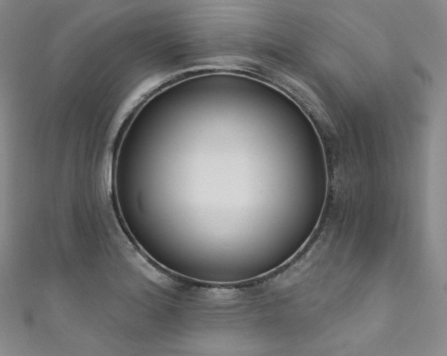 X0000111891180200907231550