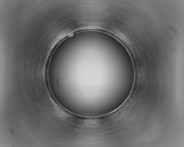 X0000111891181200907231550