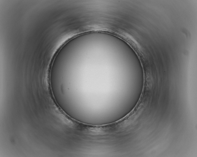 X0000111891182200907231550