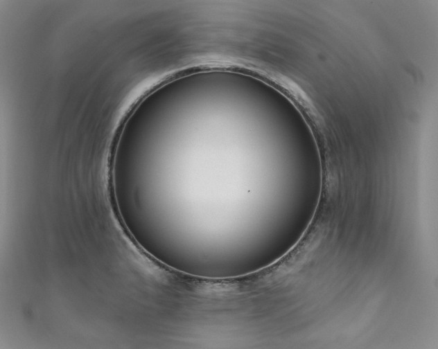X0000111891183200907231550