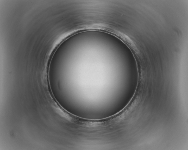 X0000111891184200907231550