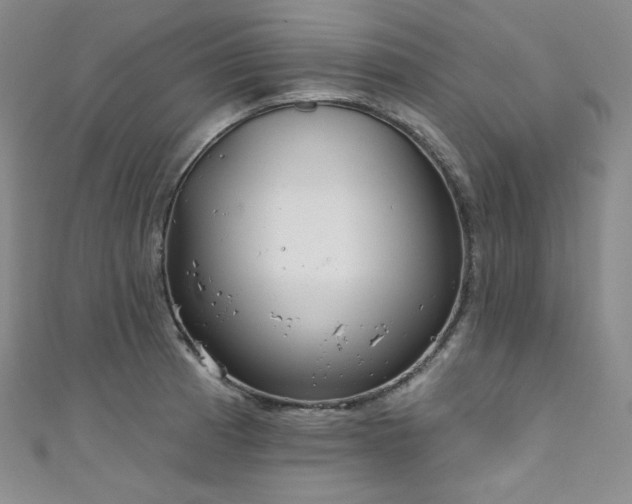 X0000111891185200907231550