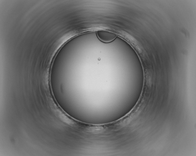 X0000111891186200907231550