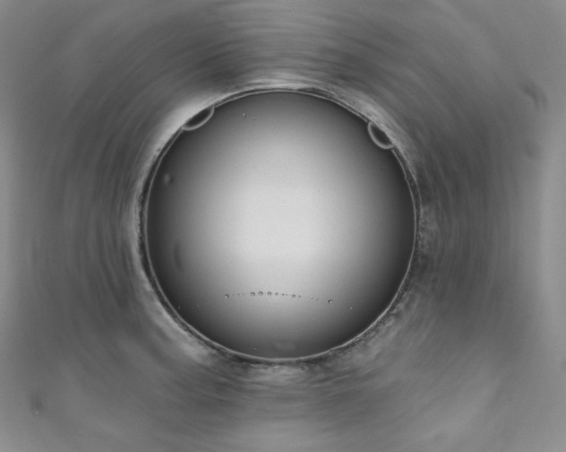 X0000111891187200907231550