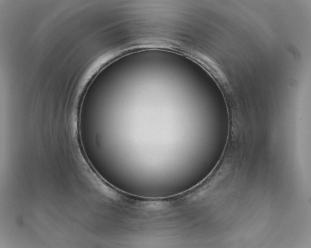 X0000111891188200907231550