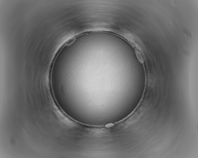 X0000111891189200907231550
