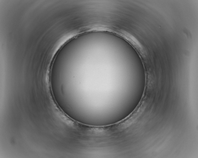 X0000111891190200907231550