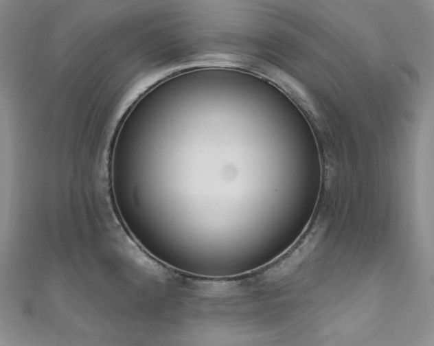 X0000111891192200907231550