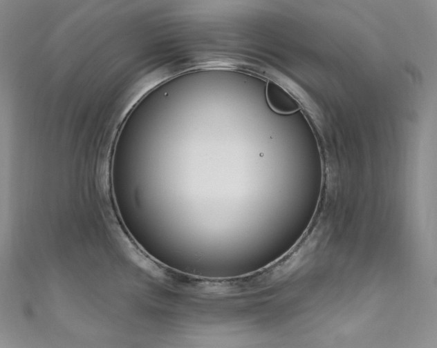 X0000111891194200907231549