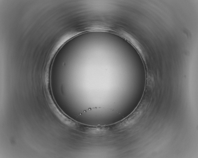 X0000111891195200907231549