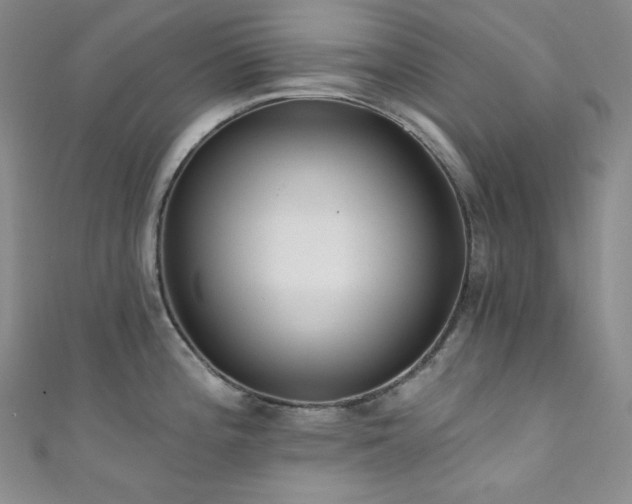 X0000111891196200907231549