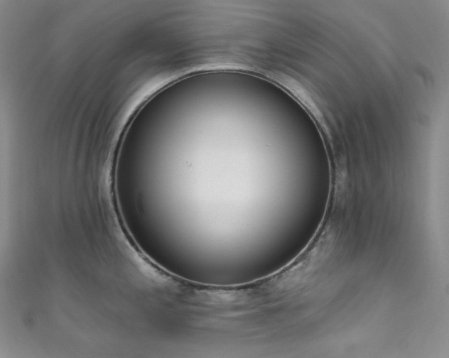 X0000111891197200907231549