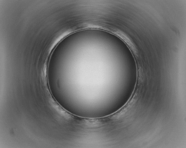 X0000111891198200907231549