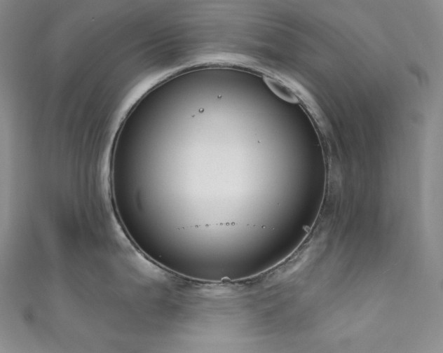 X0000111891199200907231549