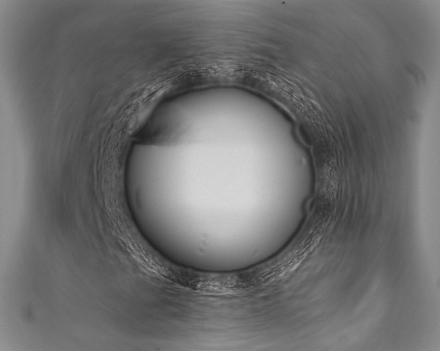 X0000111891201200907231549
