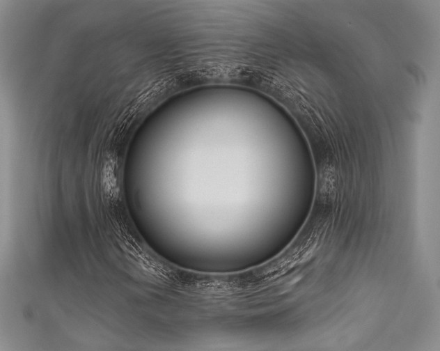 X0000111891202200907231549