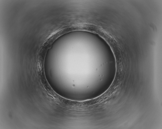X0000111891206200907231549