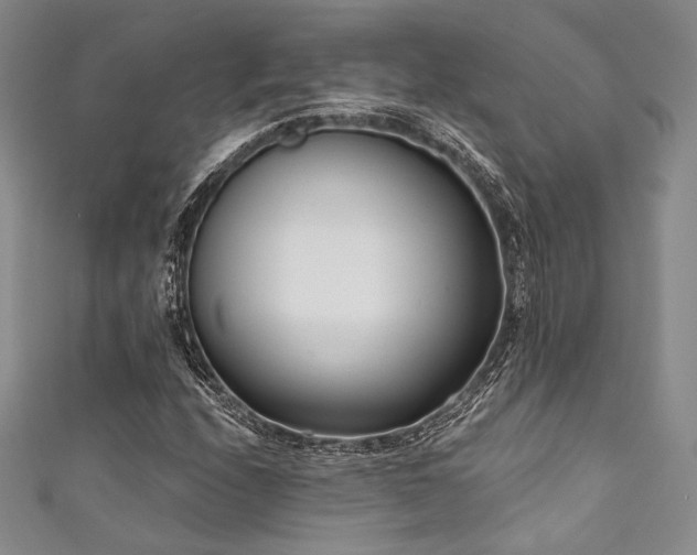 X0000111891208200907231549