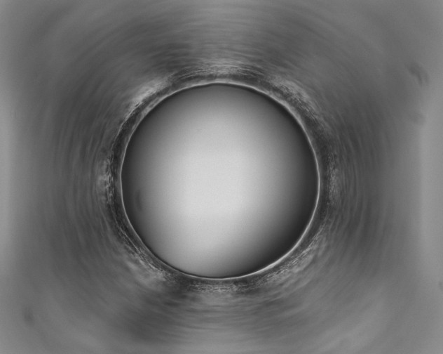 X0000111891210200907231549