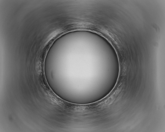 X0000111891211200907231549