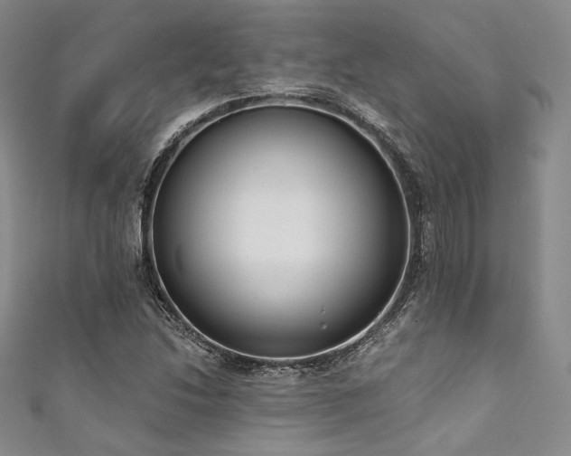 X0000111891214200907231549