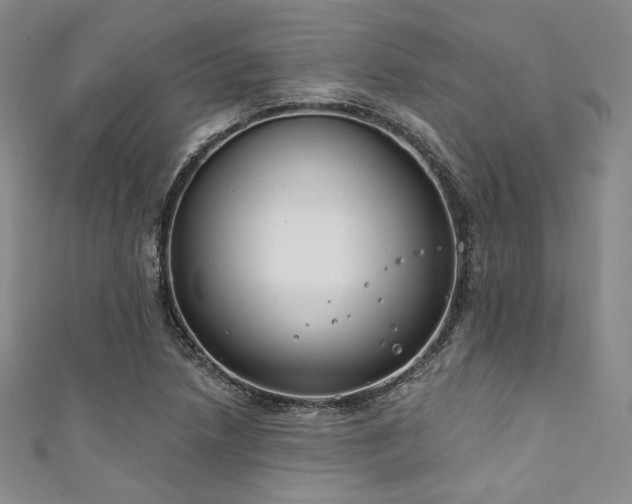 X0000111891218200907231549