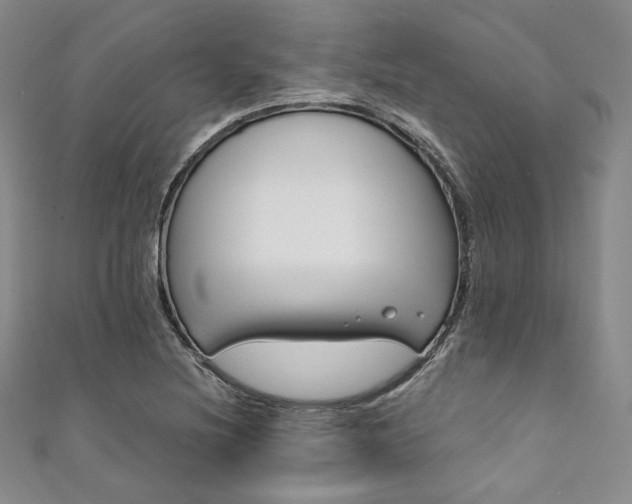 X0000111891220200907231549