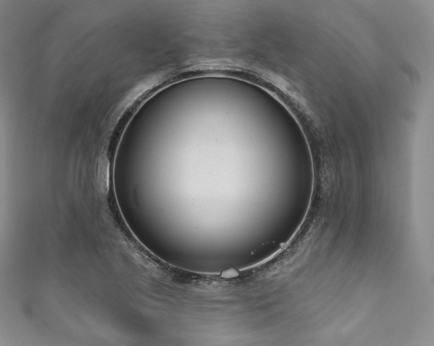 X0000111891221200907231549