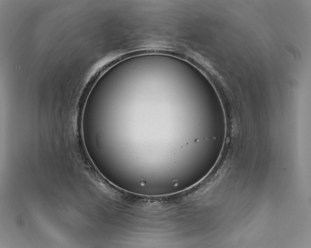 X0000111891222200907231549