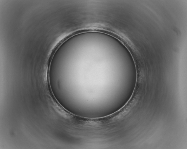 X0000111891224200907231549