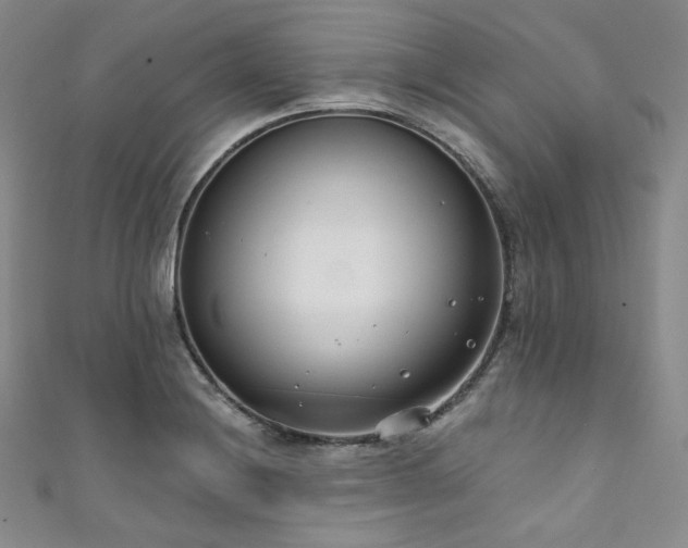 X0000111891228200907231549