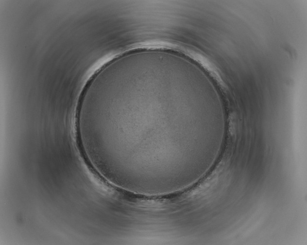 X0000111891229200907231549