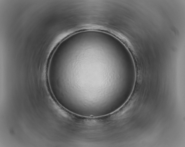 X0000111891231200907231549