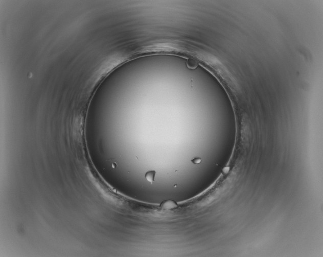 X0000111891233200907231549